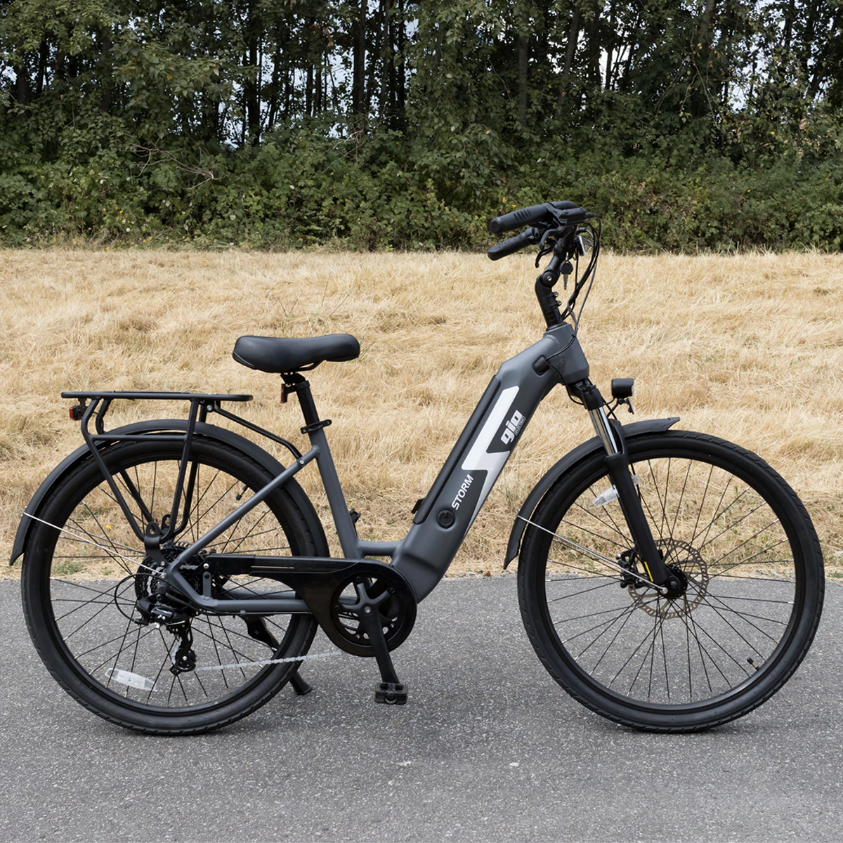 GIO STORM Electric Bike · Integrated Samsung Battery · Space Gray